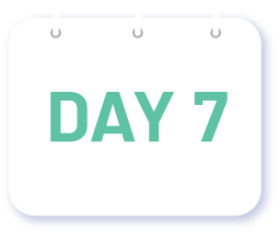 day7Image